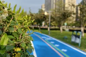 健身康养新去处！玉溪市红塔区9条“高颜值”跑道陆续上新图片