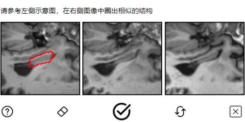 每天输验证码耗掉50万小时！防AI的验证码把人类考倒了