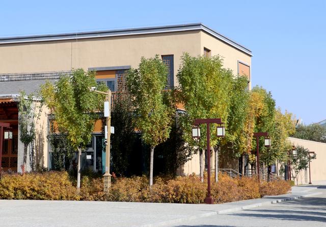 组图丨凉州十七巷 秋色入画来