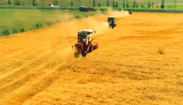 巴彦淖尔这座城，比你想象的更“宝藏”