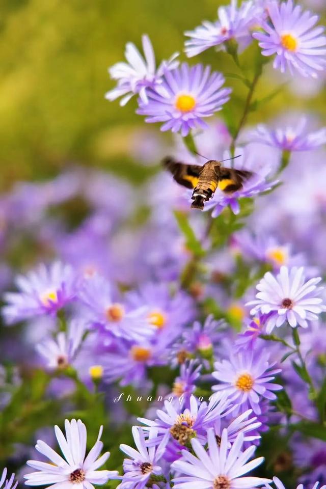 副中心的秋日画板已备好，等你来上色！