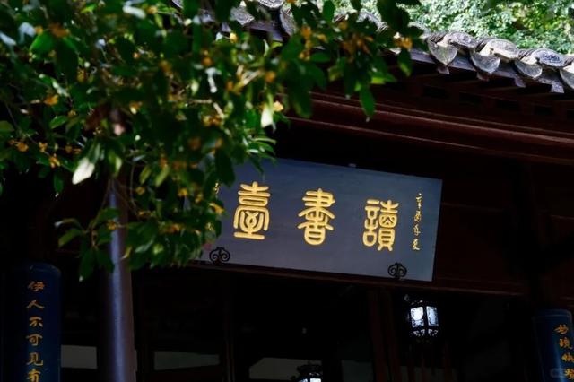 秋日限定“双骄”：从赏到玩转的完整攻略！