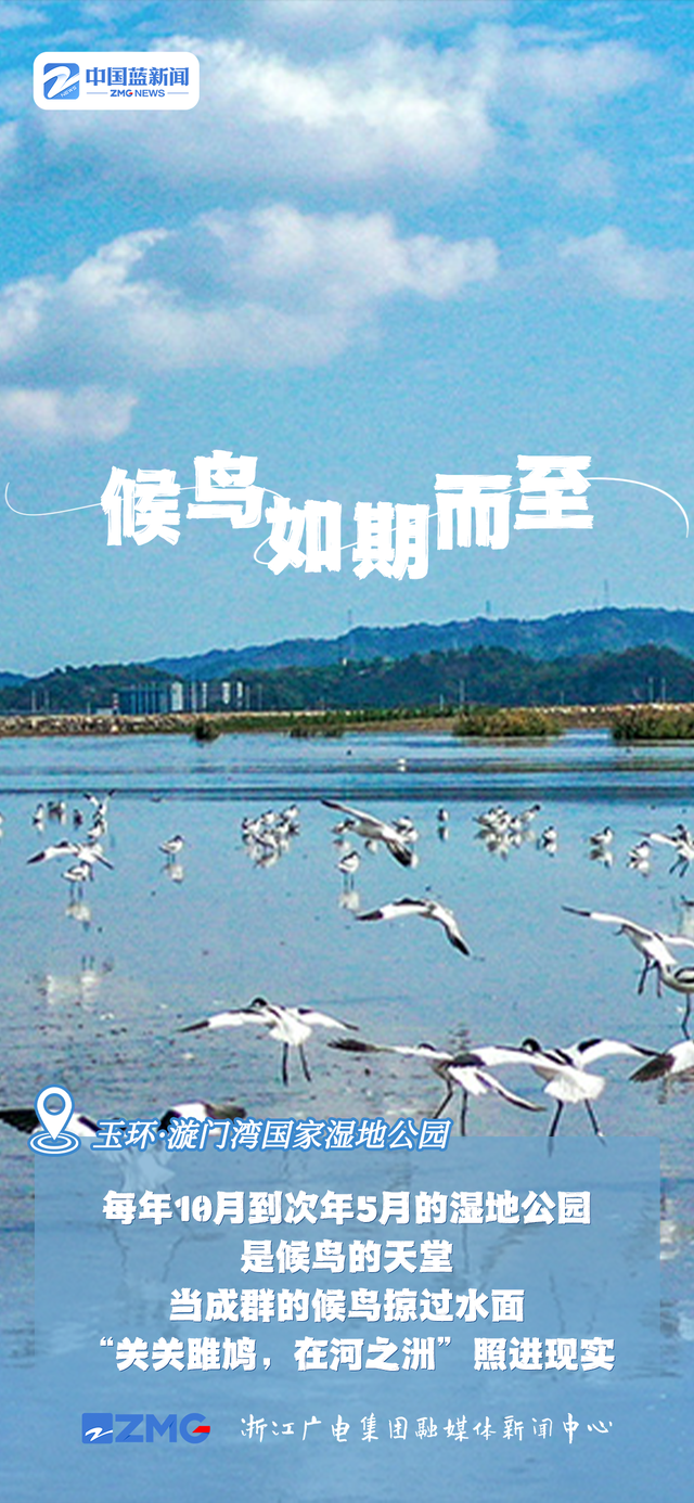 多彩海报丨“浙”里过冬好去处