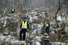 30多只羊出走齐岳山深处，湖北民警仅用一招找到图片