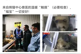 归国“顶流”被戳？最新回应图片