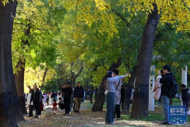 秋声渐杳 斑斓成诗