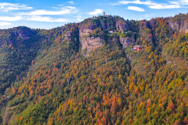 首周！东阳近20000人次参与这个活动