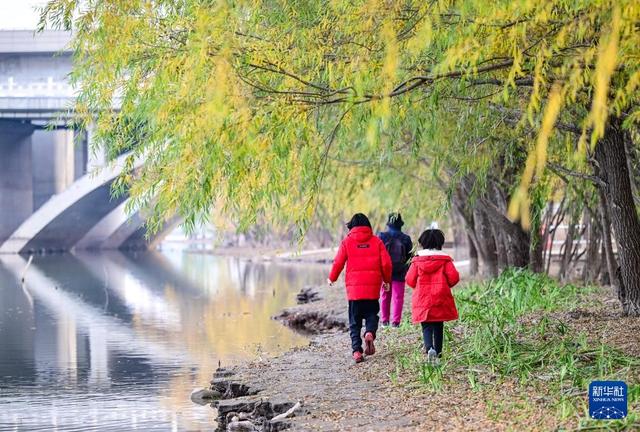 初冬园博园，周末好时光