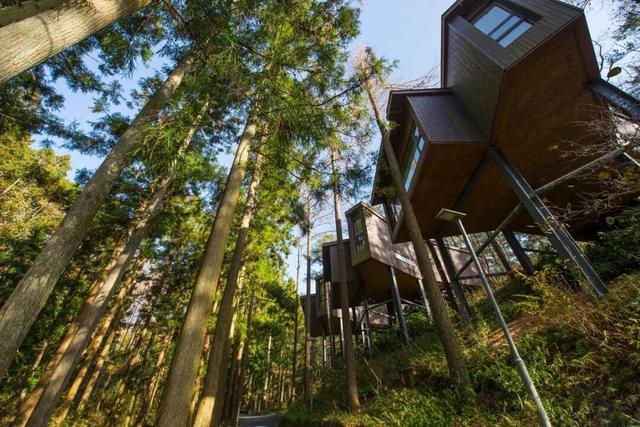 Hi走奉化③ | 拿下最高峰！蜘蛛岭古道虽累，但这秋色值了！