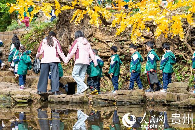 世界古银杏之乡迎来游学热