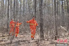 长春护林人的四十载追求：与草木动物为伴 守护绿水青山图片