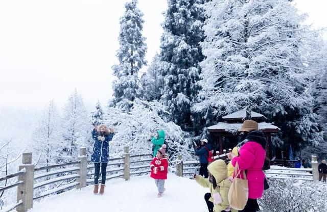 不搞虚的！宠粉天花板还得是龙门山！（文末有福利）