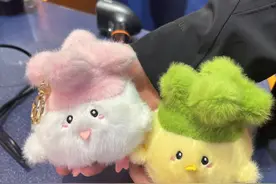 互联网集体创作反哺现实：武汉市民造梗“蒜鸟”，带火文创，全国游客买单图片