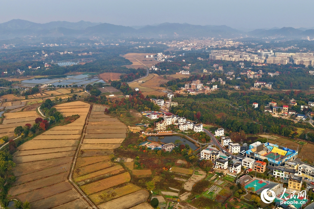 江西南康：乡村冬景宜人