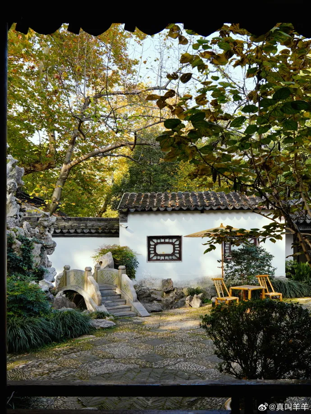 这个元旦假期，把时光“浪费”在秦淮最美的园子里~