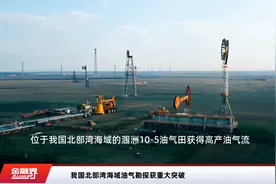 我国北部湾海域油气勘探获重大突破视频封面