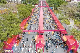 “龙”重登场 到花市来一场与“年”有关的约会图片