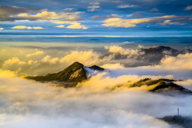 秋天来罗田,好“柿”正发生!