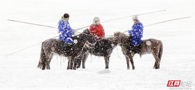 跟着网友游内蒙古丨雪线之上，生活如歌