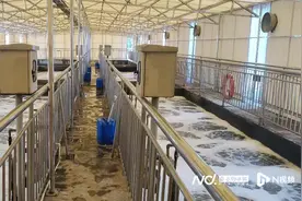 涉及上万家企业！东莞在全国首创零散工业废水集中处理模式图片