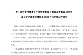 南方基金旗下“迷你基”面临清盘：成立不到1年，个人投资者快跑光了图片