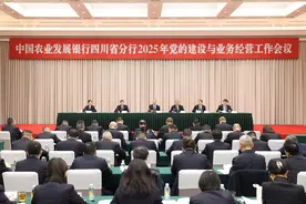 中国农业发展银行四川省分行 召开2025年党的建设与业务经营工作会议图片