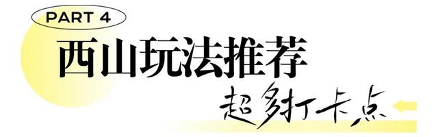 不藏了！南充超火的打卡机位速来——