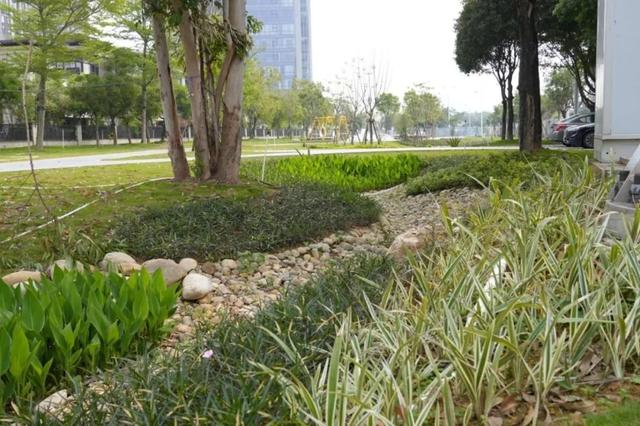 漳州市区新增一遛娃好去处，走起~