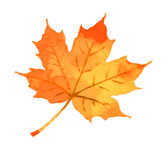 周末天气晴好，徒步去→