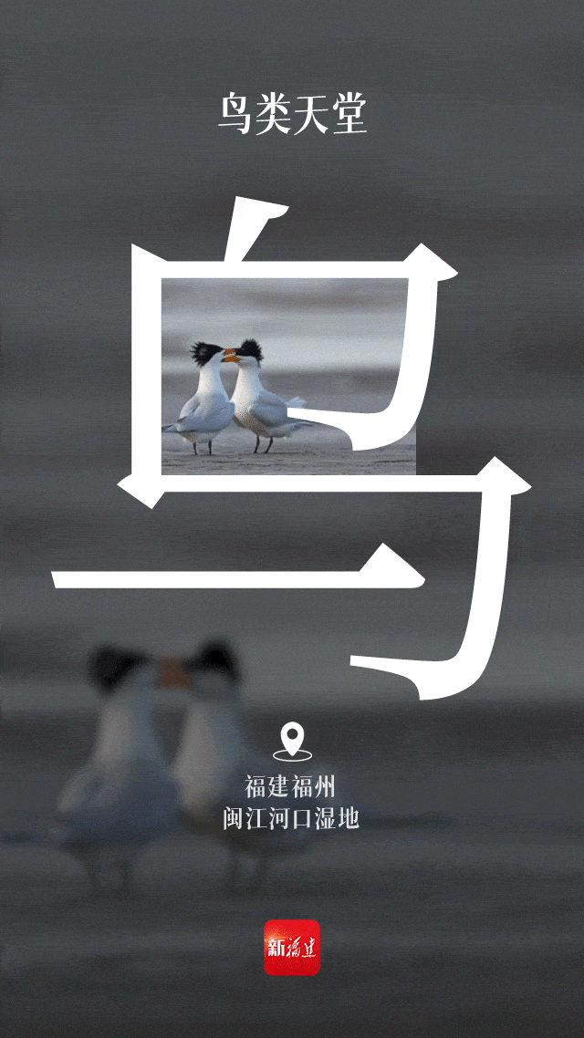 福建再添世界级名片！又多一个打卡的理由