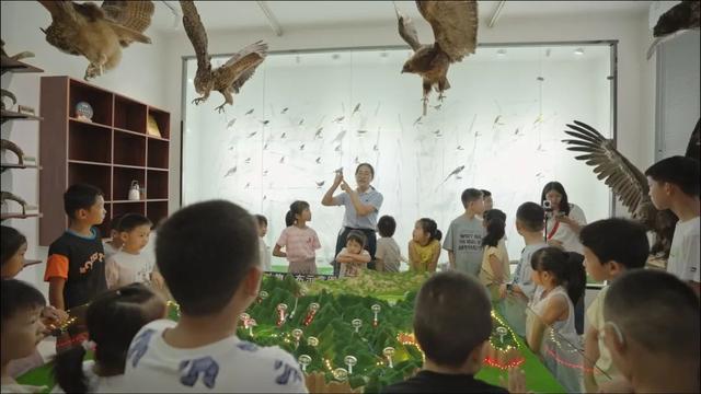 童心解码探自然 双翼载梦筑生态——第二期“小小科学家”鸟类保护科普活动圆满落幕