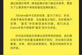 愤怒的老车主，挡不住莲花降价的决心图片