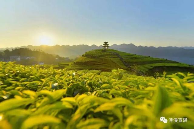 宣恩山水里，“道中华”的民族共情正流淌！