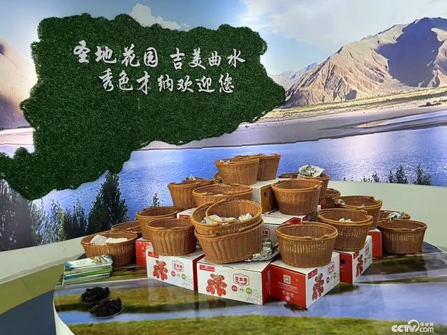辉煌60年•我们的家园│行走在高原之上：触摸新时代幸福西藏的脉搏