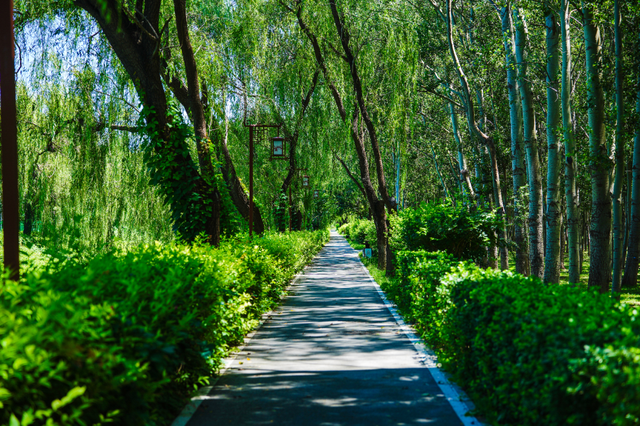 重现皇家胜景！北京再添一条滨水绿廊——