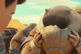 你真的认对了这些毛茸茸的啮齿类小可爱们吗？图片