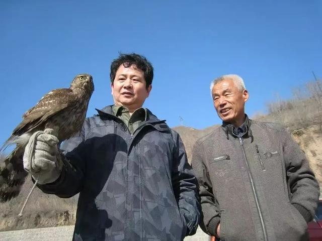 “兔子蹬鹰”原来不是用腿！在承德寻访最后的鹰手