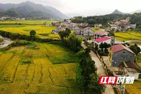 安化县仙溪镇：夯实三个根基 建设最美新村图片