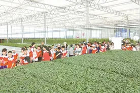 体验农耕“趣”研学图片