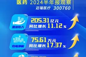 全球排名升至23位，迈瑞医疗半年营收205.31亿元｜冷眼看财报图片