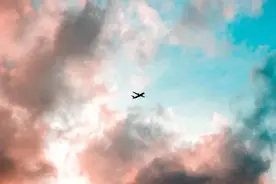 航班都缺燃油了，美好还在图片