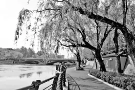 春意盎然，这几招让身体焕发生机图片