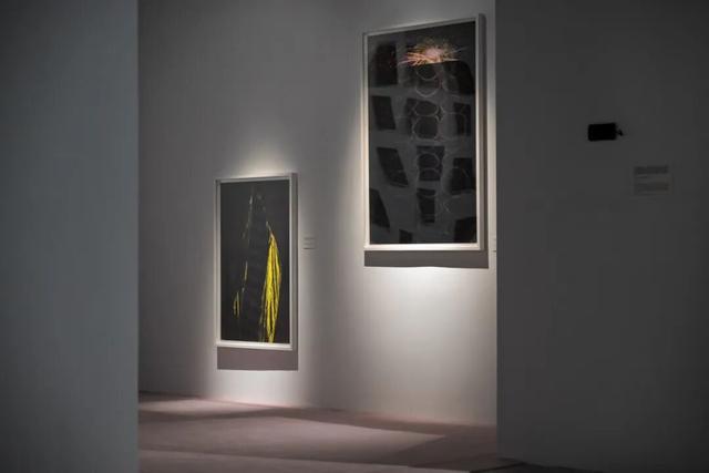 跨越那二十多分钟：集美·阿尔勒的十一年