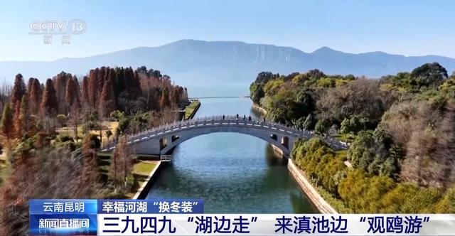 有一种生活叫云南 冬日滇池邀你来一场“观鸥游”