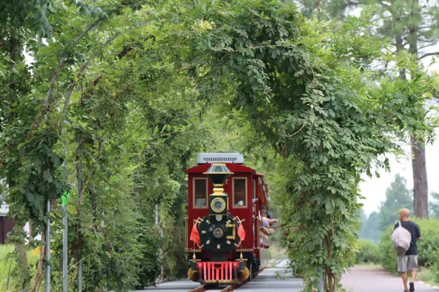 @东阳人，免费游+优惠玩！持续2个月→