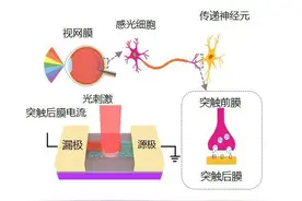 高质量发展首季观察｜长春光机所：解锁智能时代的“视觉密码”图片