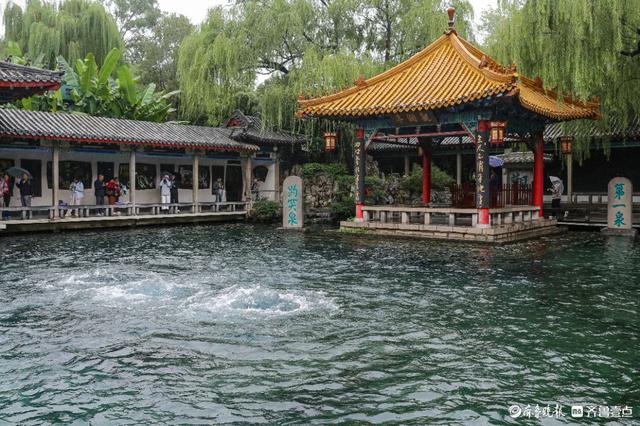 雨中趵突泉，美得让人醉