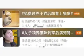 “爱心领养”变“宠物贷”？揭开“免费领养”背后的真相图片