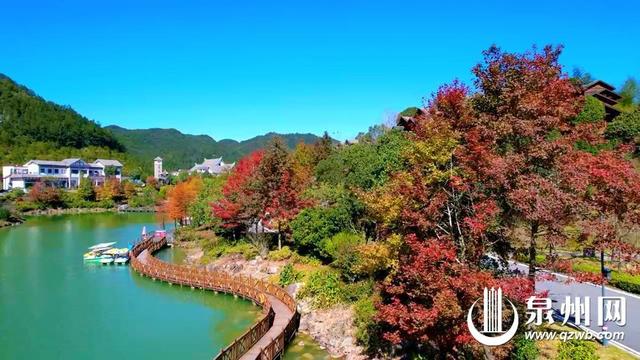 观秋色、闻秋香、品秋味、摘秋果 泉州各地秋意渐浓