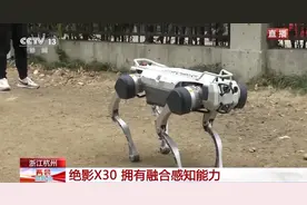 能跳舞能拉货 AI加持让机器人拥有“武侠秘籍”图片